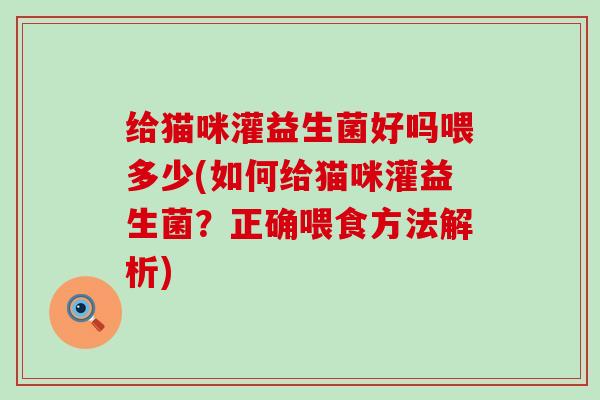 给猫咪灌益生菌好吗喂多少(如何给猫咪灌益生菌?正确喂食方法解析) 给猫咪灌益生菌好吗喂多少(如何给猫咪灌益生菌?正确喂食方法解析)