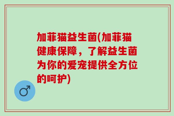 加菲猫益生菌(加菲猫健康保障，了解益生菌为你的爱宠提供全方位的呵护)