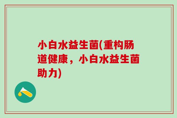 小白水益生菌(重构肠道健康，小白水益生菌助力)