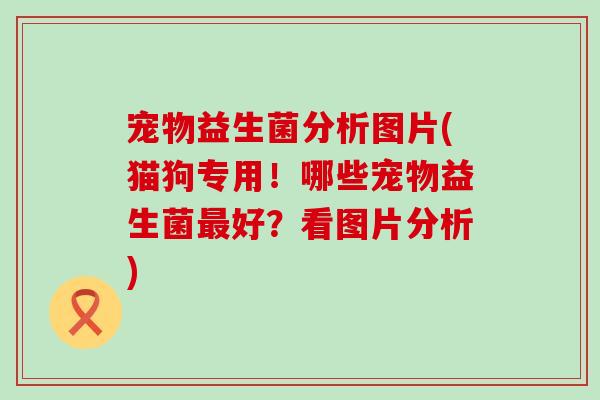 宠物益生菌分析图片(猫狗专用！哪些宠物益生菌好？看图片分析)