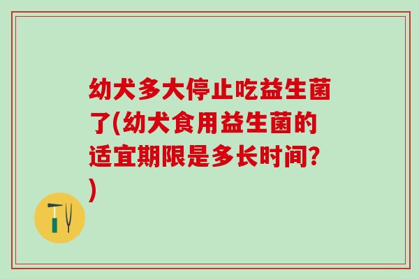 幼犬多大停止吃益生菌了(幼犬食用益生菌的适宜期限是多长时间？)